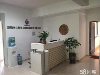 洛尘经济信息咨询 专业赋能，智启未来——信息咨询服务新起点